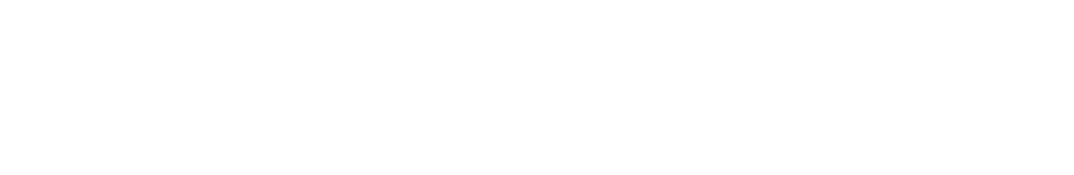 Logo-Soinsoft